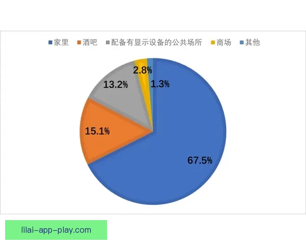 世界杯买球全攻略：技巧分析与风险防控全面指南